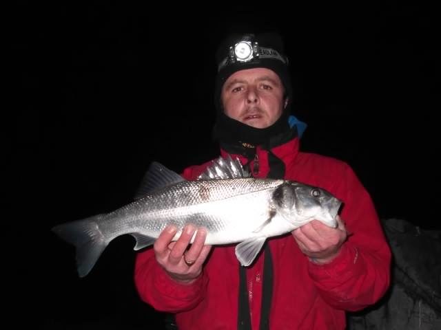 Another fish for Gazzy Another fish for Gazzy