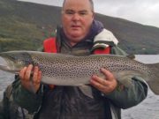 Old records tumble in a weighty end to the game-angling season in Cork and Kerry – Irish Times Irish Times - Galway hooker Toby Bradshaw from Galway with a trout of 5.5kg (12lb) caught on Lough Sheelin on a Green Peter .