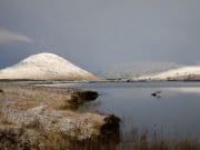 Irish Angling Update – 21/11/13