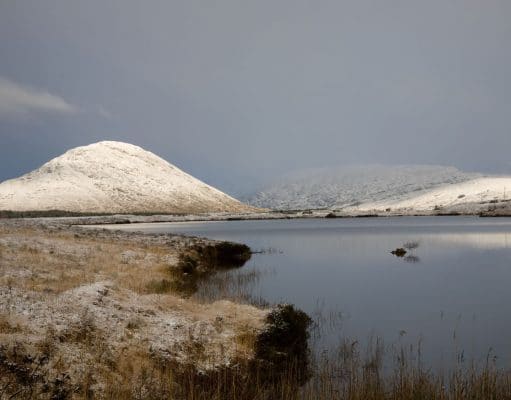 Irish Angling Update – 21/11/13