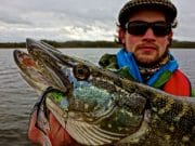 Paul Moinester USA, A Man on a Mission (This Time Irish Pike)