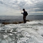 Probassfishing – Coast fishing
