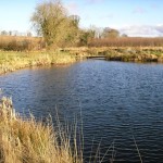 Rathcon Lake