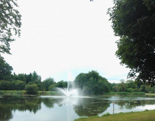 Pike fishing competition on Templemore Town Park Lake on November 24th