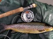 Experienced guide Damien opens our eyes to the Best of Cavan ...the catch