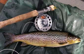 Experienced guide Damien opens our eyes to the Best of Cavan ...the catch