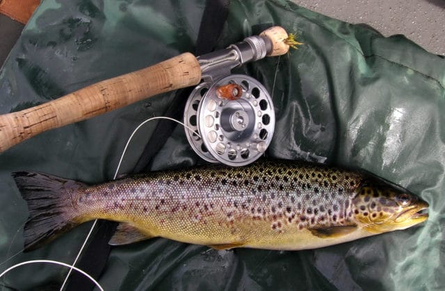 ...the catch
