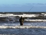 Sea Anglers Organise Fund Raiser Shore Competition