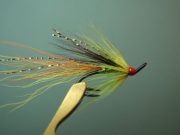 Salmon Watch Ireland welcomes reopening of file on sea lice issue – Irish Times
