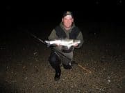 Bass hammering sprat under the light of the Wexford moon
