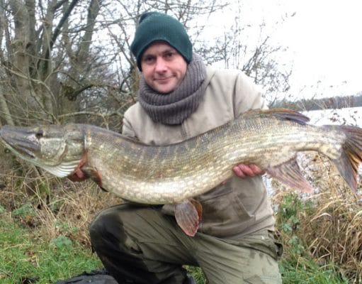 Popped up bait tempts 23 lb pike at Mayo venue wins our Catch of the Week Pike