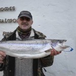 Drowes Salmon