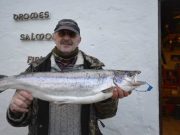 Another springer from the Drowes as levels stay below 0.8m salmon