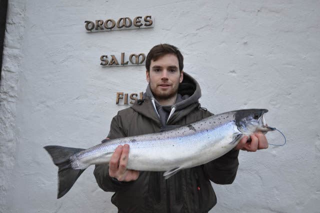Salmon