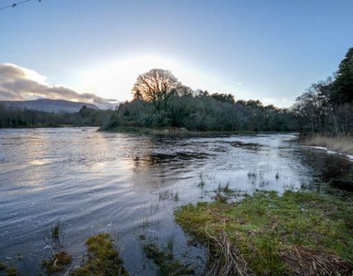 Irish Angling Update, 09/01/14 Blackwater