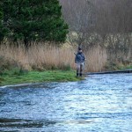 Salmon fishing