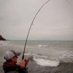 Absolute fishing – Shore