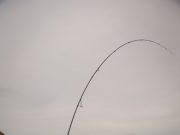 Great opportunity to get started in Lure Fishing – Free Course starts Sat January 25th