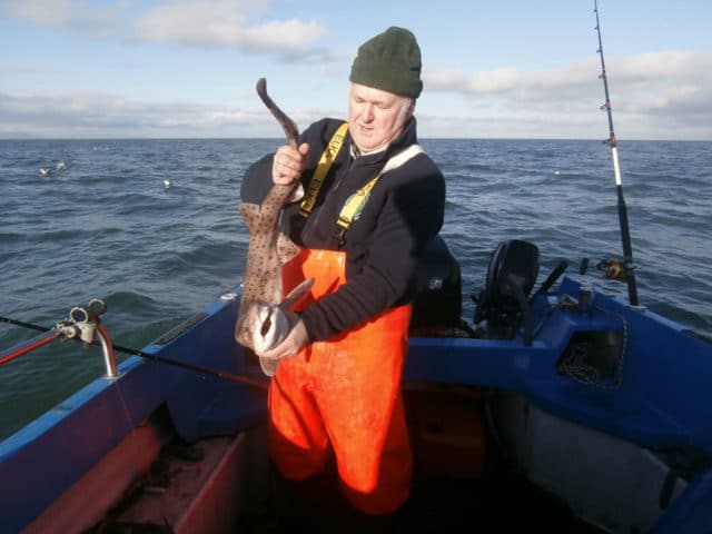 10lb huss for Dave