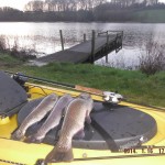 Boat Angling Ireland – Graham at the Oaks 3
