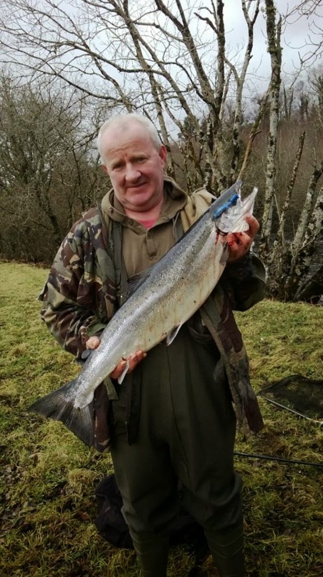 First Salmon caught in Kerry 2014 on the River Flesk