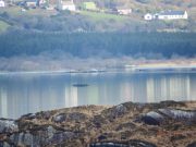 No springers yet on Currane flat calm