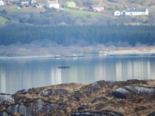 flat calm
