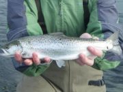Increase your chances of catching trout in salt water with Ger