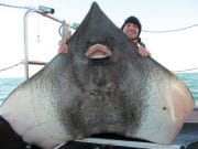 Show me the weather! Red Bay anglers get amongst big fish skate