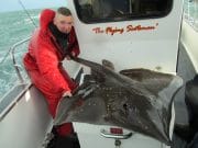 Inshore grounds not a bad option during poor weather at Red Bad skate