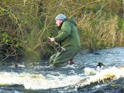 Cinderella anglers swap silver slipper for salmon as they flock to the Drowes – Impartial Reporter