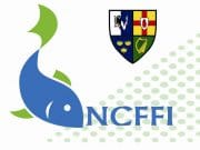 NCFFI Junior Team Ireland are named