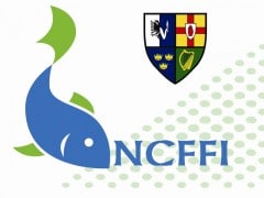 NCFFI logo