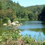 Oaklands Lake – Oaklands lake