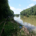 Oaklands Lake – Scene