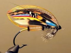 Sean Carty - fly
