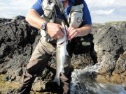 Handling fish