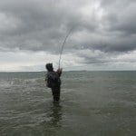 Sean Jordan – Sea angling (2)