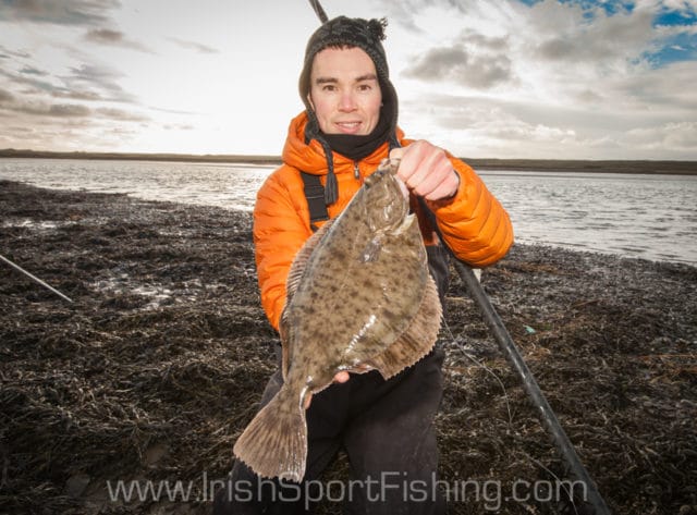 Flounder no 1 - 2.6 lb Flounder no 1 - 2.6 lb