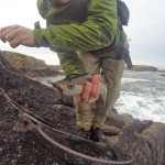 Steven Neely – Donegal (1)