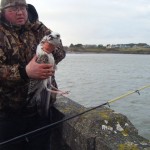 Tralee Bay SAC – Bird
