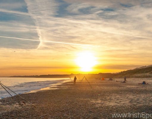 Irish Angling Update – 16/01/14 Kilgorman Beach