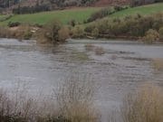 Water, water everywhere and the fish are hard to get on the Blackwater