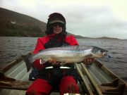 First Salmon caught on the Fly by Mr. Noel Clancy at Currane First Salmon caught on the Fly by Mr. Noel Clancy