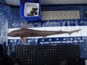 Irish Angling Update – 27/02/14