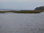 7, 8 and 9 lb salmon caught trolling along Melvin but conditions harsh