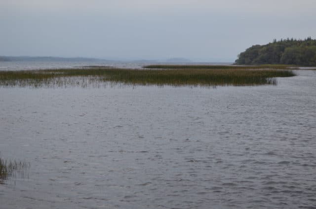 Drowes - A Choppy Melvin Where Many Fish Will Find Sanctuary Until Spawning In A Few Months Time.