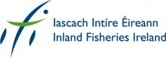 IFI logo