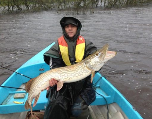Persistence and a break in the weather pay off for pike anglers in Longford with a super pike which wins our Catch of the Week Sean English with his well deserved pike wins our Catch of the Week