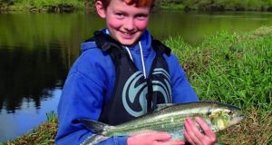 Shad anglers – DiadES project wants your help Irish Times - Winner Went fishing - Joshua Higginson from Ballynahinch, Co Down, with his twaite shad of 1.35kg from the Barrow